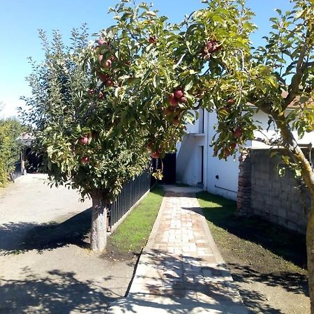 Hostel De אסקואל מראה חיצוני תמונה