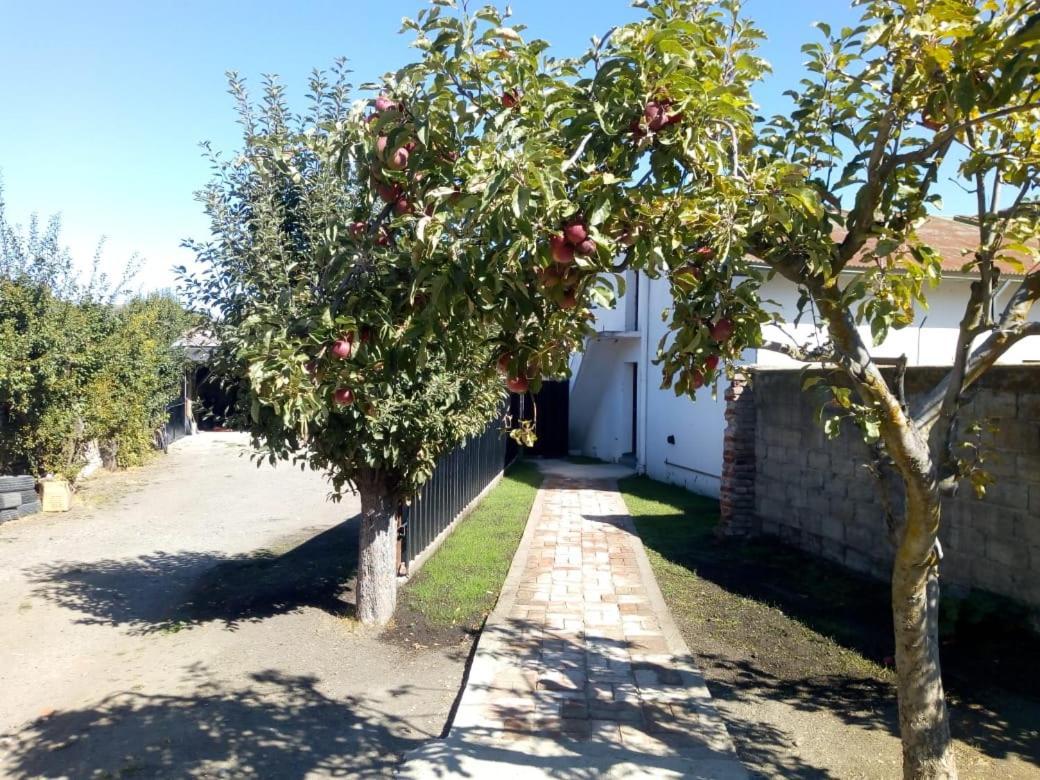 Hostel De אסקואל מראה חיצוני תמונה